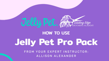 Product image for How to Use... The Jelly Pet Pro Pack [with Groomers Pro]