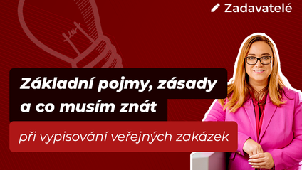 Product image for Základní pojmy, zásady a co musím znát při vypisování veřejných zakázek