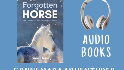 Product image for The Forgotten Horse, the Show Horse & the Mayfield Horse audio books