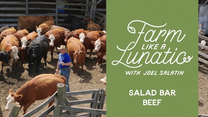 Product image for Salad Bar Beef