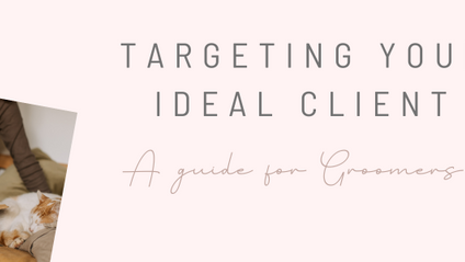 Product image for Targeting Your Ideal Client Workbook
