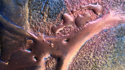 Product image for Encaustic: Experimental Surface Sampler