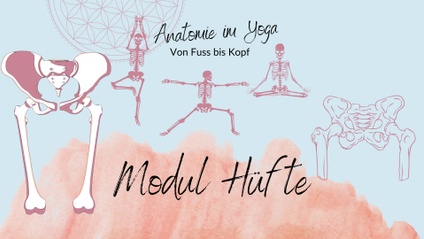 Product image for HÜFTE: Anatomie im Yoga VON FUSS BIS KOPF