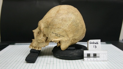 Product image for AI in Anthropology