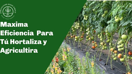 Product image for Secretos De Agricultura - Clases y Consultas