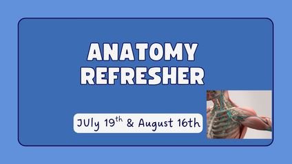 Product image for Anatomy Refresher 