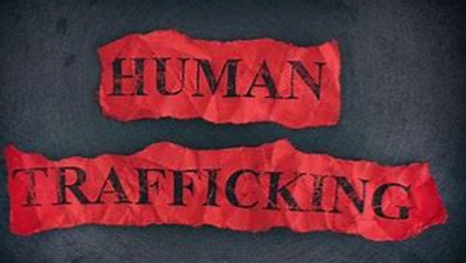 Product image for Human Trafficking for First Responders