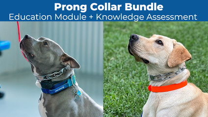 Product image for Prong Collar Bundle