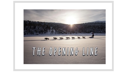 Product image for The Opening Line