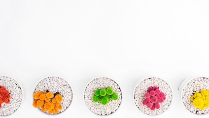 Product image for Mindfulness Masterclass Series