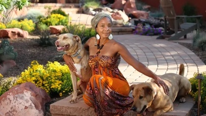 Product image for Ethereal Animal Healing
