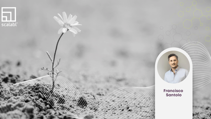 Product image for Resiliencia