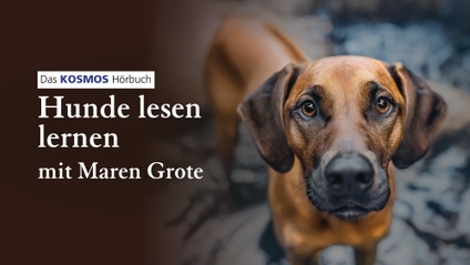 Product image for Hörbuch Hunde lesen lernen – Hundeverhalten praxisnah erklärt