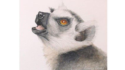 Product image for Lemur in Watercolor
