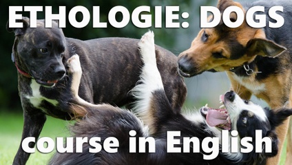 Product image for Ethologie – behavior and base behavioral therapy for dogs