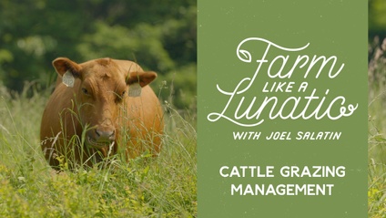 Product image for Cattle Grazing Management