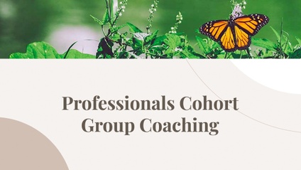 Product image for Professionals Cohort Group Coaching