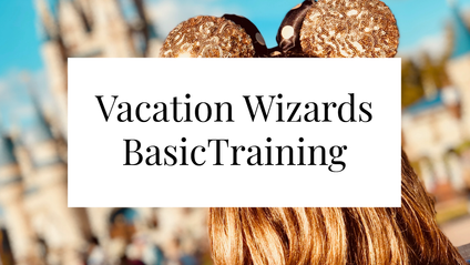 Product image for Vacation Wizards Basic Training