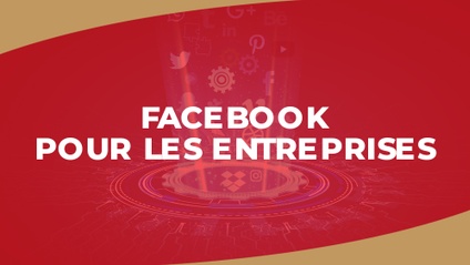 Product image for IGTC01MD - Facebook pour les entreprises (FR)