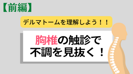 Product image for 【前編】デルマトームから導く背中の触診で不調を見抜け!!〜胸椎編〜 ・支配神経分布に対しての座学と評価 ・実践アプローチ方法