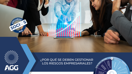 Product image for ¿Por qué se deben gestionar los riesgos empresariales? 