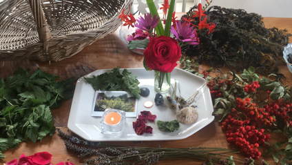 Product image for Hedgerow Herbal: August Monthly Gathering