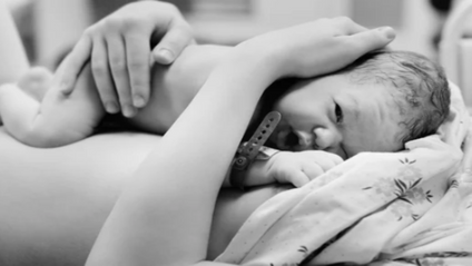 Product image for The Doula's Role with the Newborn and Postpartum Support