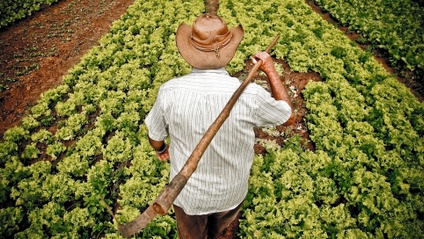 Product image for BioFAO na Agricultura