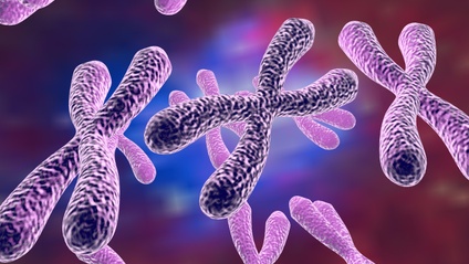 Product image for Évolution et Diversité du Vivant (101-NYA-05)
