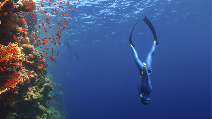 Product image for The 10 Meter Freediver - Freediving Course