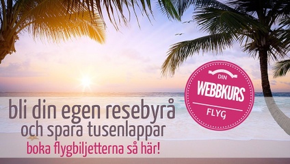 Product image for Bli din egen resebyrå och spara tusenlappar - flyg