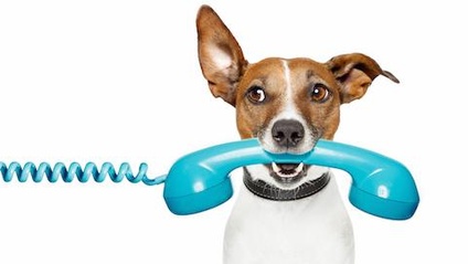Product image for Get Your Point Across the First Time with ListenSpeak™