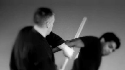 Product image for Buki - Hanbō & Tantō