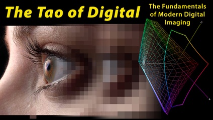 Product image for The Tao of Digital
