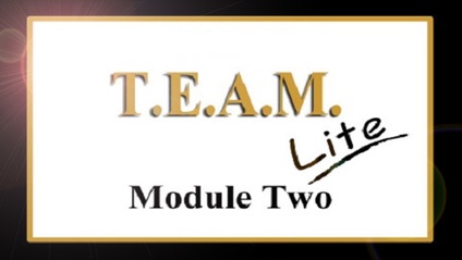 Product image for TEAM Lite Module 2