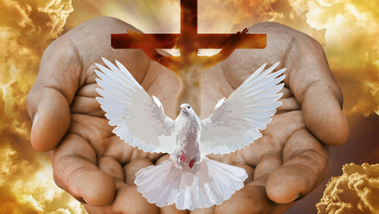 Product image for Ministry of the Holy Spirit 1 