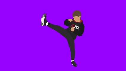 Product image for 3. Main - Purple Belt Video Curriculum
