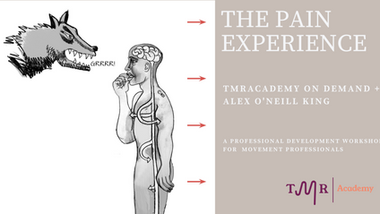 Product image for The Pain Experience