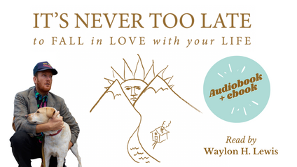 Product image for Audiobook + Ebook of "It's Never too Late to Fall in Love with your Life," by Waylon H. Lewis.