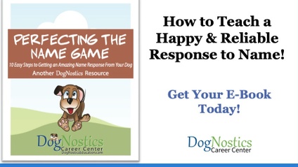 Product image for E-WorkBook - 10 Steps to An Amazing Response to Name