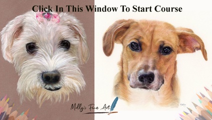 Product image for  Pet Portrait Academy Course How To Draw a Pet Portrait