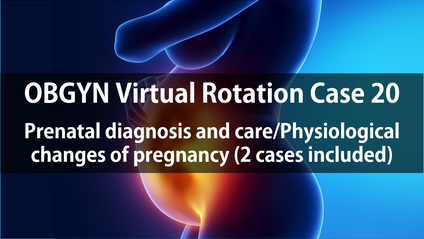 Product image for OBGYN Virtual Rotation Case 20  Chief Complaint (CC): Prenatal Dx and care/Physiological changes of pregnancy