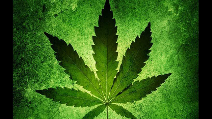 Product image for Advanced Cannabis Science Training