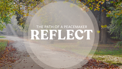 Product image for REFLECT Toolbox