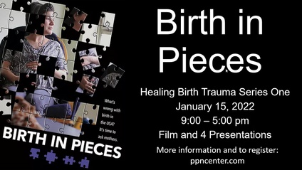 Product image for Birth in Pieces