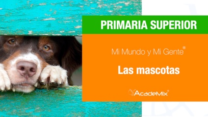 Product image for 6º. 12. Las mascotas (Alumno)