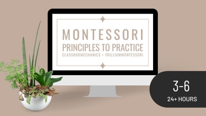 Product image for Classroom Management (P2P: 3-6)