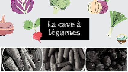 Product image for La cave à légumes