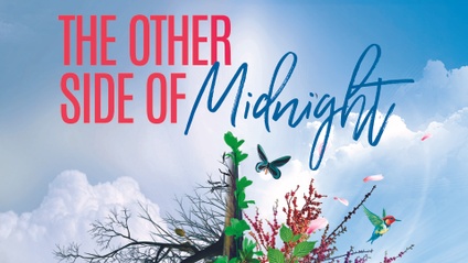 Product image for A Message At Midnight