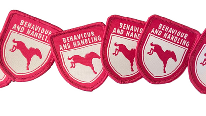 Product image for Behaviour and Handling